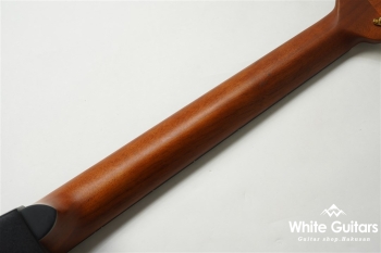 【The Celebrity Collection】 Celebrity Elite Exotic Mid Depth(CE44P)-Spalted Maple